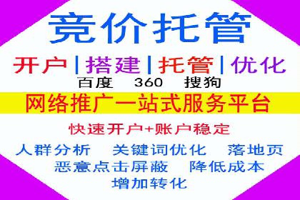 百度推广优化策略：成功案例解析